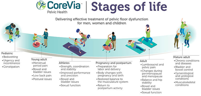 Graphic describing the 6 stages of life from pediatric to mature adult pelvic health